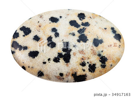 cabochon of Dalmatian Stone gemstone isolated 34917163