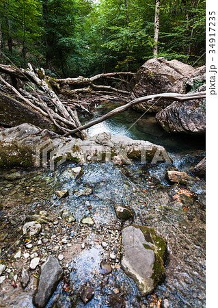 pond because of fallen trees on Ulu-Uzen river pond because of fallen trees on Ulu-Uzen river 34917235