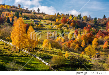 rural area on hillside in autumn 34917786