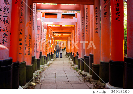 fushimi inari in kyoto fushimi inari in kyoto 34918109