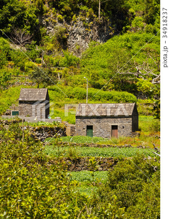 Madeiran Landscape 34918237