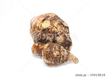 サトイモ 34919616