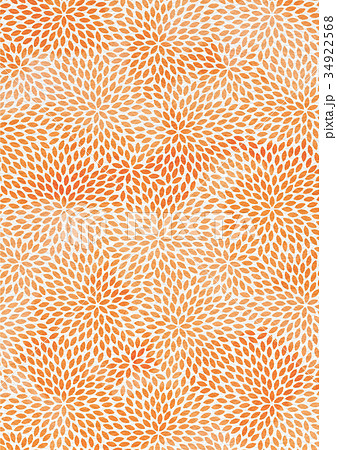 むじな菊_赤 むじな菊_赤 34922568