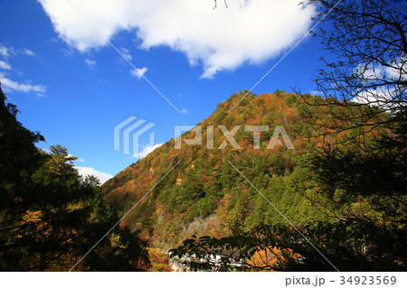 みたらい渓谷　紅葉 34923569