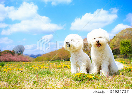 爽やかだね~♪ 爽やかだね~♪ 34924737