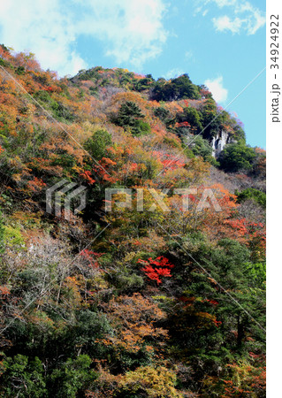 香落渓 紅葉の写真素材