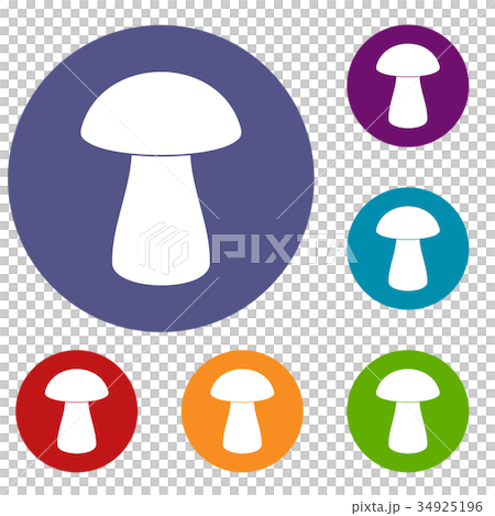 Fungus boletus icons set 34925196