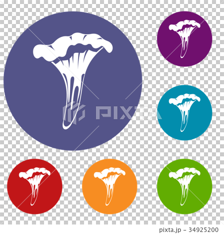 Chanterelle icons set Chanterelle icons set 34925200