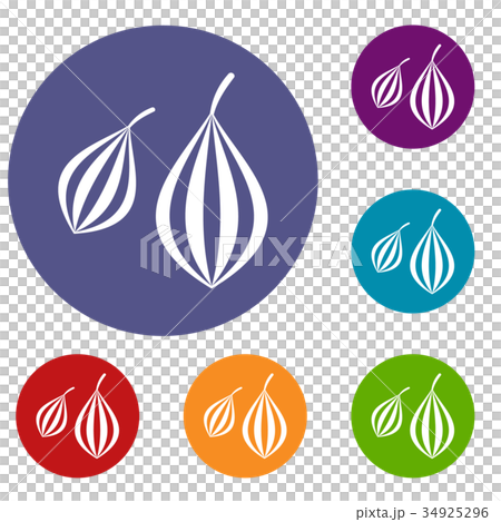 Trachyspermum ammi icons set Trachyspermum ammi icons set 34925296