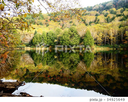 湖面に映る紅葉 34925649