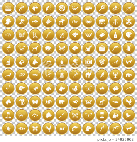 100 animals icons set gold 100 animals icons set gold 34925908