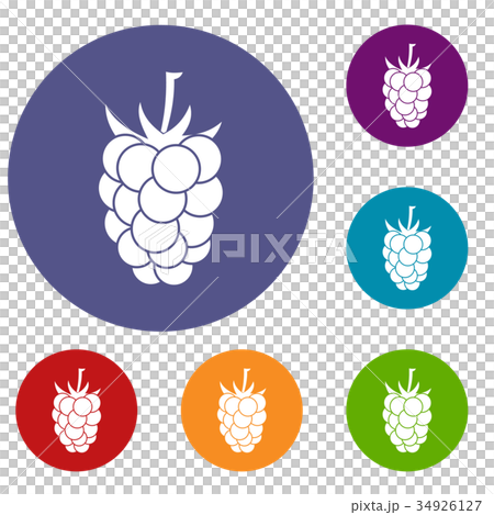 Blackberry fruit icons set Blackberry fruit icons set 34926127