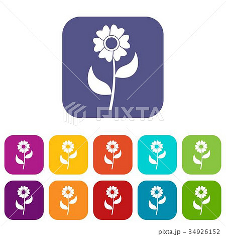 Flower icons set 34926152