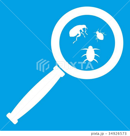 Magnifier and insects icon white 34926573