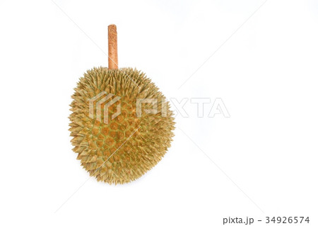 durian with shell fruit on white background durian with shell fruit on white background 34926574