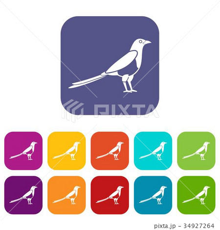 Bird magpie icons set 34927264