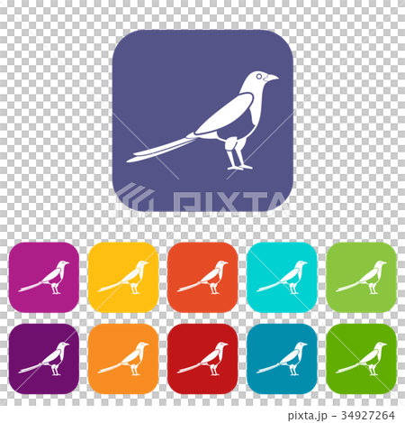 Bird magpie icons set 34927264