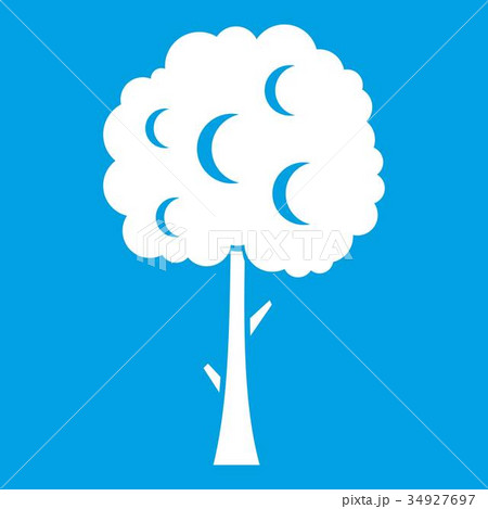 Tree with spherical crown icon white Tree with spherical crown icon white 34927697