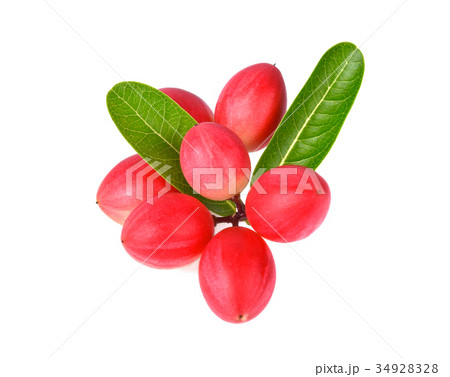 Carunda or Karonda on a white background 34928328