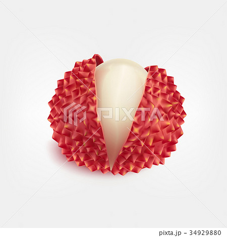 Ripe fresh litchi fruits realistic isolated vector 34929880
