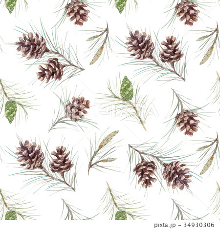 Watercolor fir cone vector pattern Watercolor fir cone vector pattern 34930306