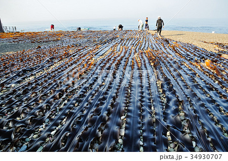昆布漁の朝 34930707