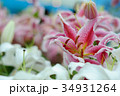 Beautiful tulips in the garden 34931264