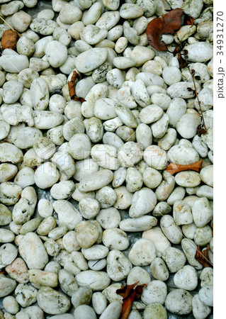 White stones in the garden are the background. 34931270