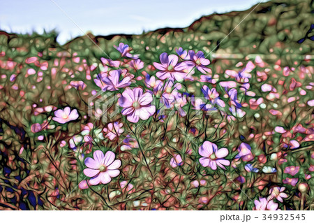 Dark Line Cartoon Drawing; Fully Bloomed Cosmos Dark Line Cartoon Drawing; Fully Bloomed Cosmos 34932545