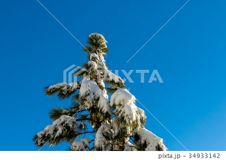 Blue Sky, Climate Change winter at California 34933142