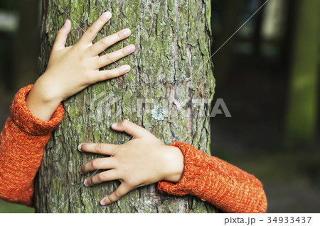 man hugging a big tree - love nature concept man hugging a big tree - love nature concept 34933437