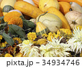 Image of autumn 34934746