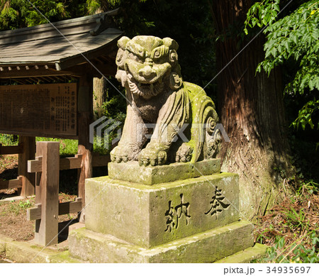那須神社 狛犬 那須神社 狛犬 34935697