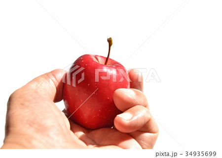 リンゴ（アルプス乙女） 34935699