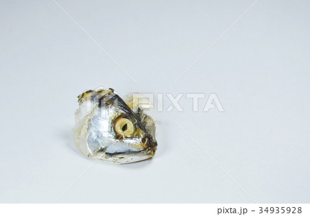mackerel head on white background mackerel head on white background 34935928
