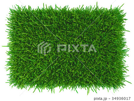 Grass background texture Grass background texture 34936017