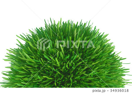 piece of cropped grass to be installed 34936018