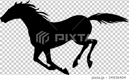 サラブレッド011 サラブレッド011 34936404