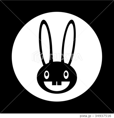rabbit  icon 34937516