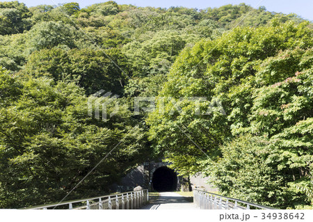 めがね橋上とトンネル 34938642