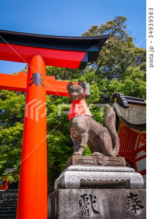 Fox statue at Fushimi Inari Taisha, Kyoto, Japan Fox statue at Fushimi Inari Taisha, Kyoto, Japan 34939563