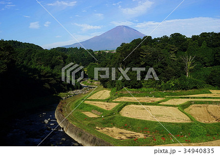 9月　富士山1797竹之下の棚田 34940835