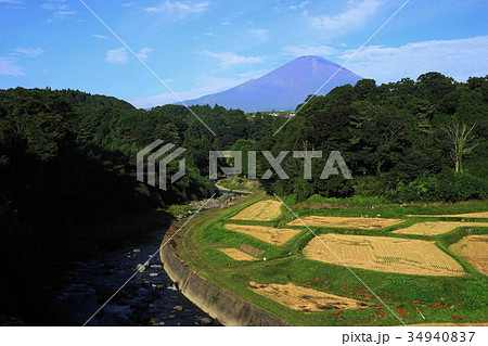 9月　富士山1798竹之下の棚田 34940837