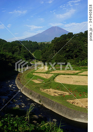 9月 富士山1799竹之下の棚田 9月 富士山1799竹之下の棚田 34940838