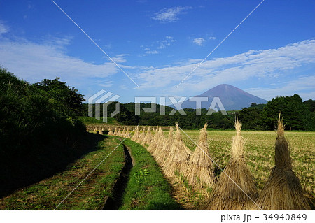 9月 富士山1805小山町・水田の稲穂干し 9月 富士山1805小山町・水田の稲穂干し 34940849