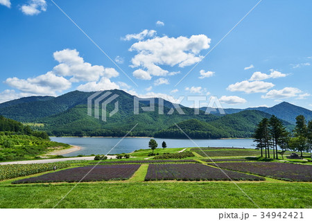 南富良野町　かなやま湖 34942421