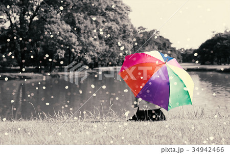 Colorful rainbow umbrella hold by sitting woman on grass field n Colorful rainbow umbrella hold by sitting woman on grass field n 34942466