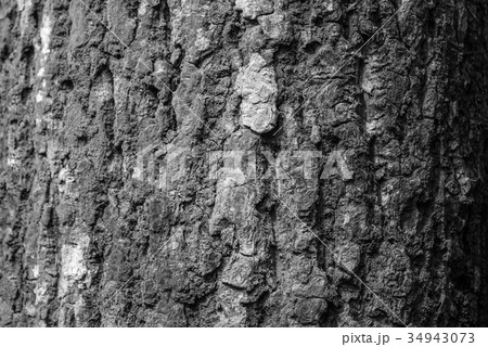 Black and white wooden surface texture background Black and white wooden surface texture background 34943073