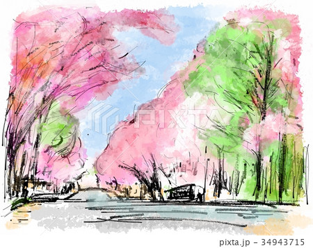 山桜の道路 イラストのイラスト素材