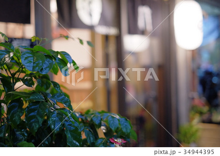 スロー 遅い 鈍い 34944395